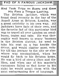 Castle Rock Journal 29 May 1903