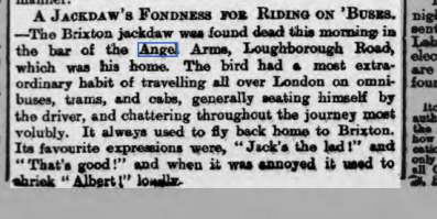 Yorkshire Evening Post 17th Sept 1902